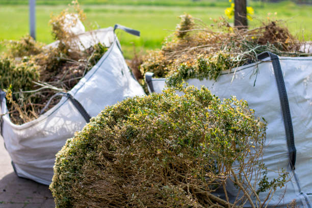 Best Moving and Downsizing Cleanouts  in Jeffersontown, KY